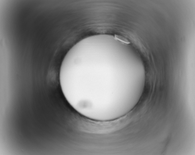 X0000096460031200802141541