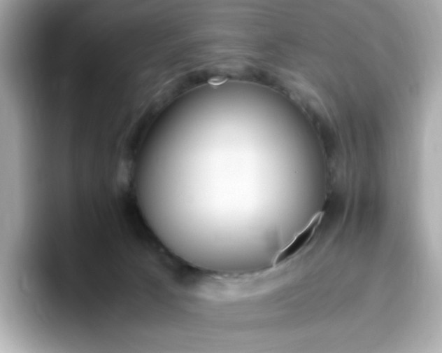 X0000096460033200802141541