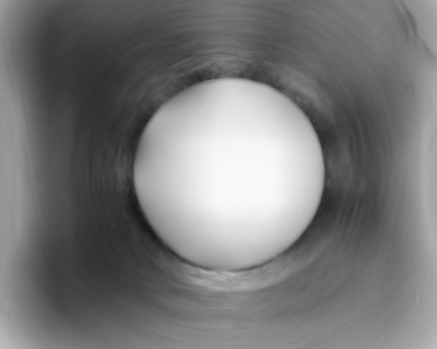 X0000096460034200802141541