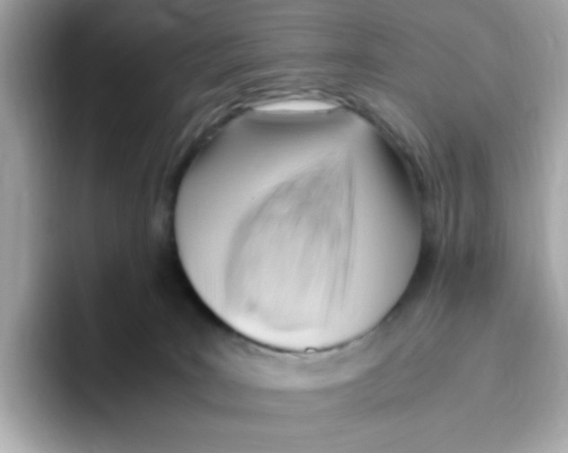 X0000096460035200802141541