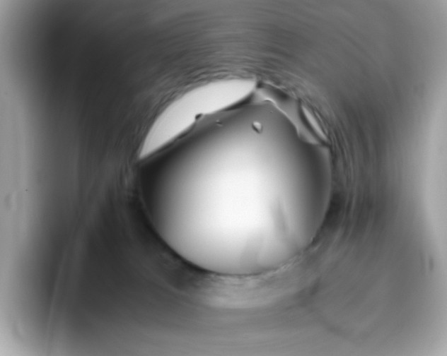 X0000096460037200802141541