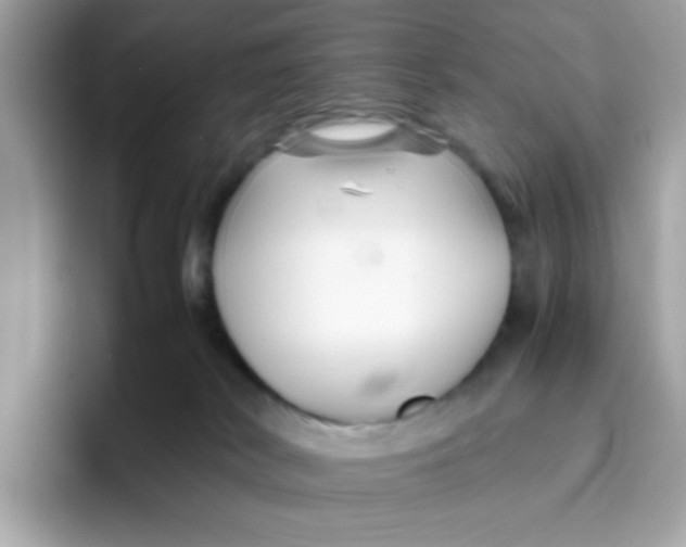 X0000096460038200802141541