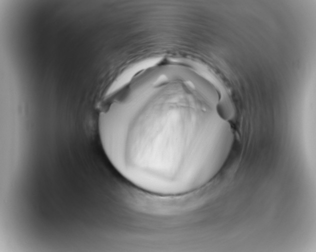 X0000096460039200802141541