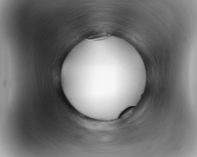 X0000096460040200802141541