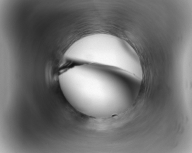 X0000096460041200802141541