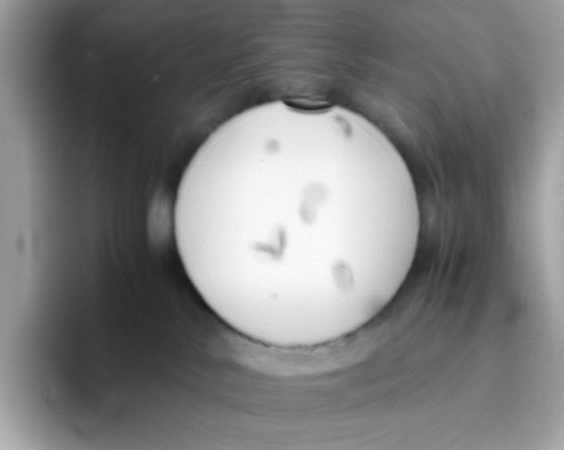 X0000096460042200802141541
