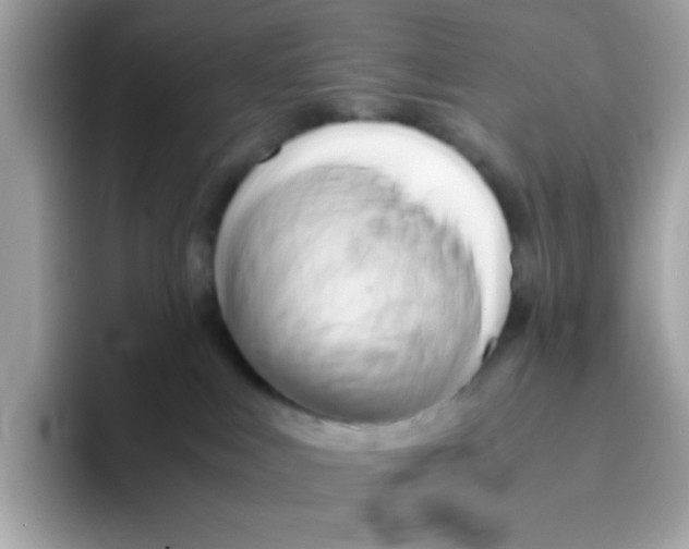 X0000096460043200802141541