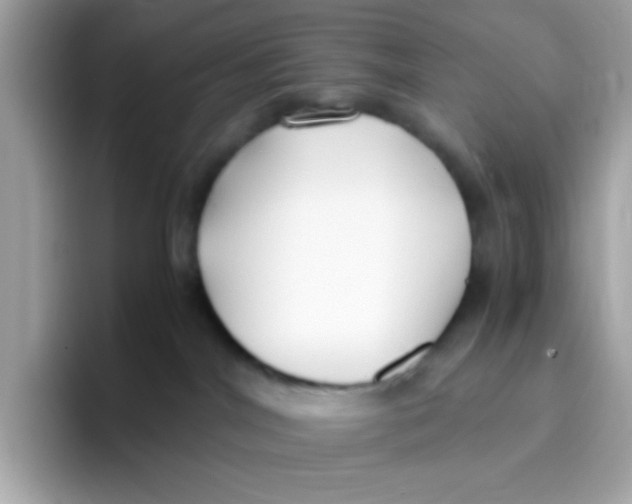 X0000096460044200802141541
