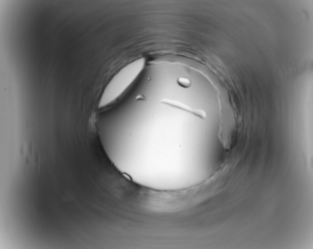 X0000096460045200802141541