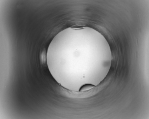 X0000096460046200802141541