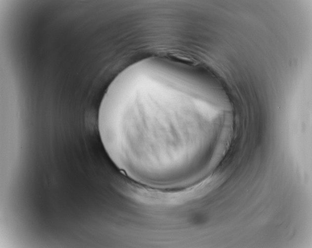 X0000096460048200802141541