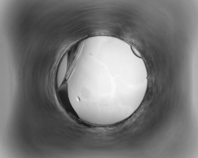 X0000096460049200802141540