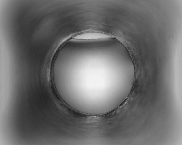 X0000096460050200802141540