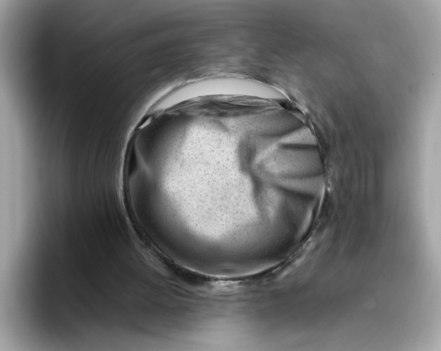 X0000096460052200802141540