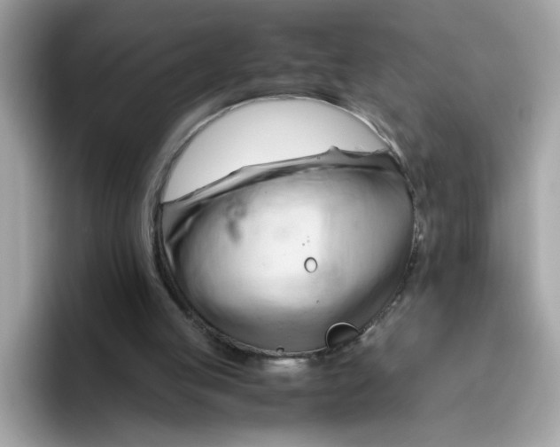 X0000096460053200802141540