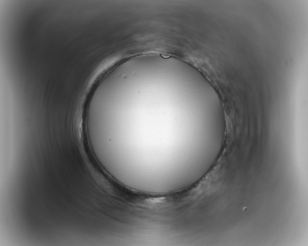 X0000096460054200802141540