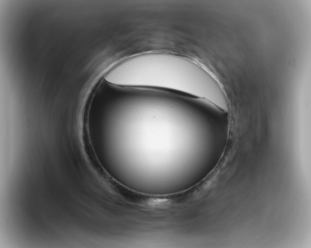 X0000096460055200802141540