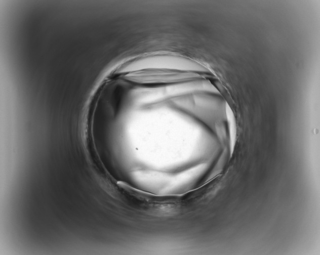 X0000096460056200802141540