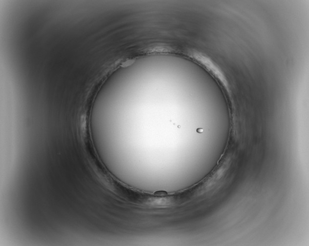 X0000096460057200802141540
