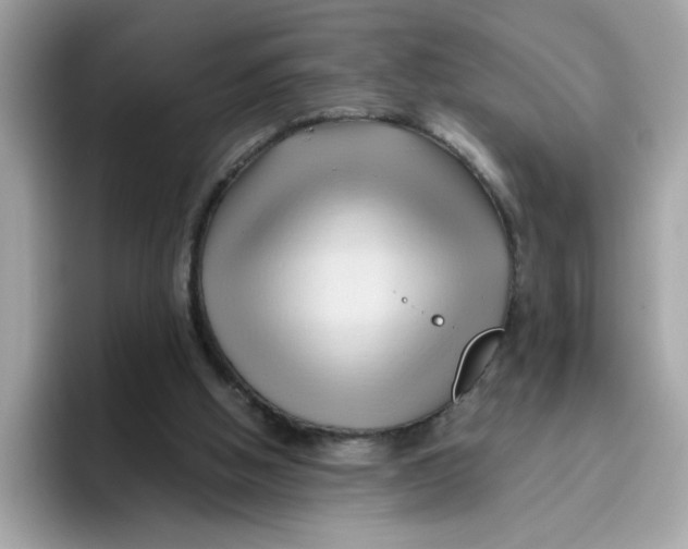 X0000096460058200802141540