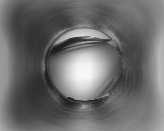 X0000096460060200802141540