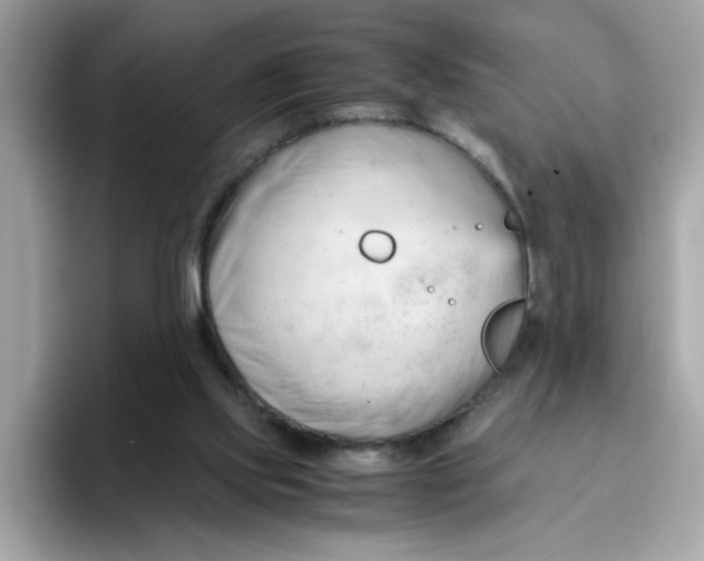 X0000096460061200802141540