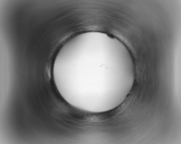 X0000096460062200802141540
