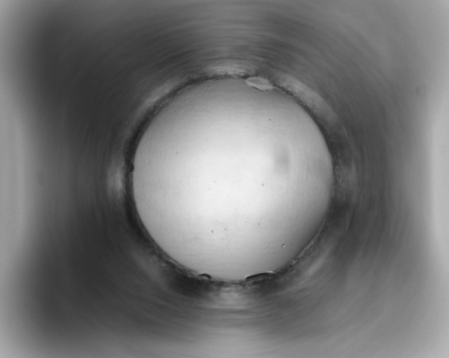 X0000096460064200802141540