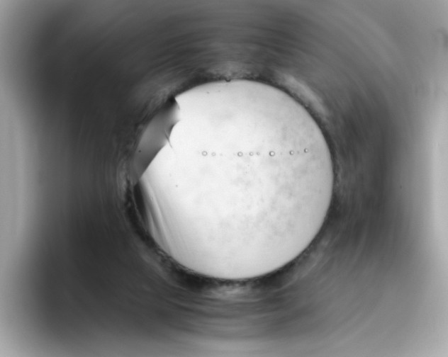 X0000096460065200802141540