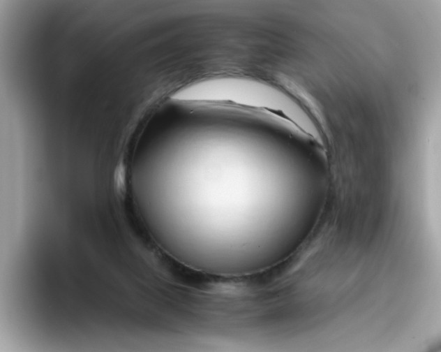 X0000096460067200802141540