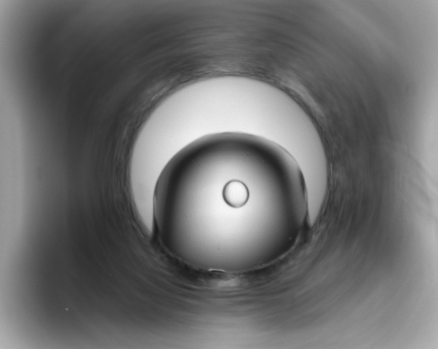X0000096460068200802141540
