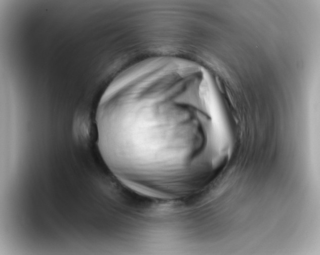 X0000096460072200802141540