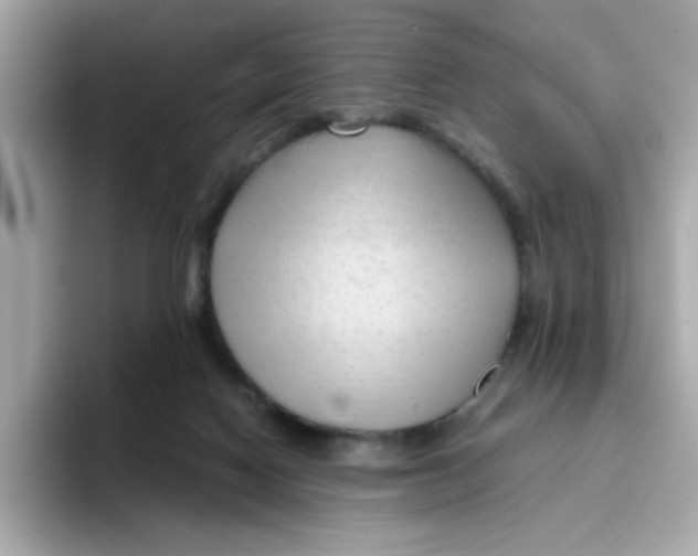 X0000096460074200802141540