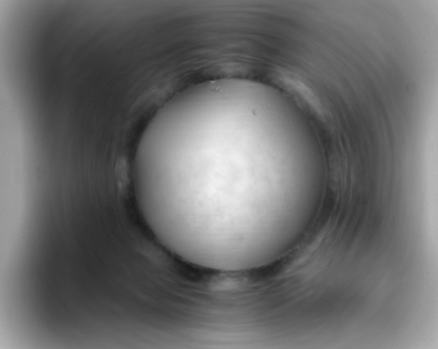 X0000096460077200802141540