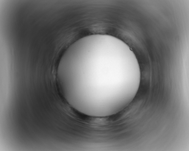 X0000096460081200802141541