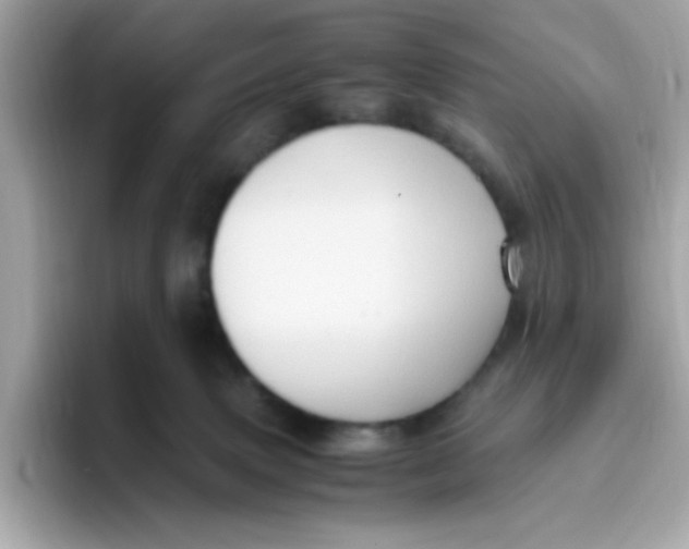 X0000096460083200802141541