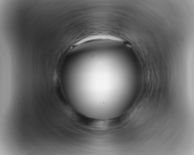 X0000096460084200802141541