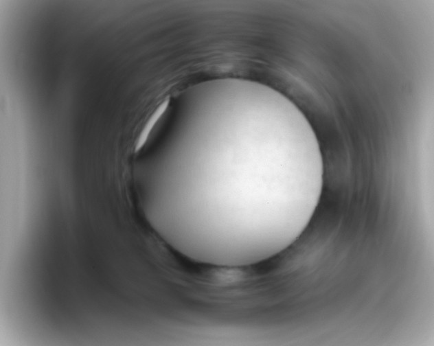 X0000096460085200802141541