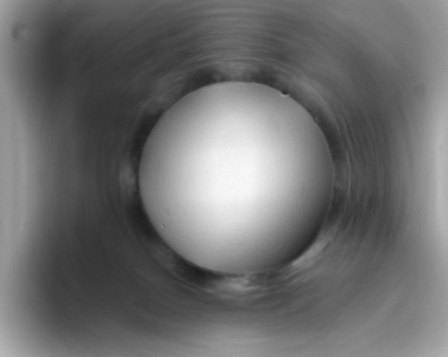X0000096460086200802141541