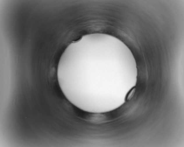 X0000096460087200802141541