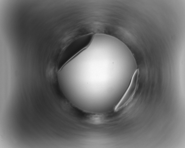 X0000096460088200802141541