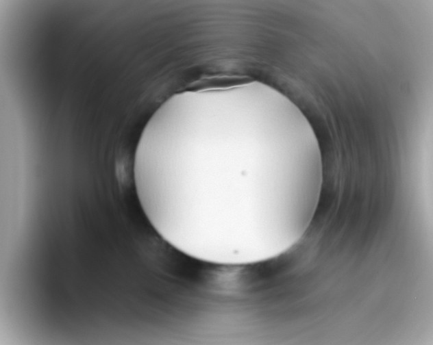 X0000096460090200802141541