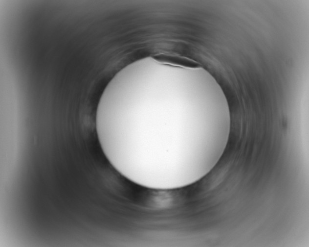 X0000096460091200802141541