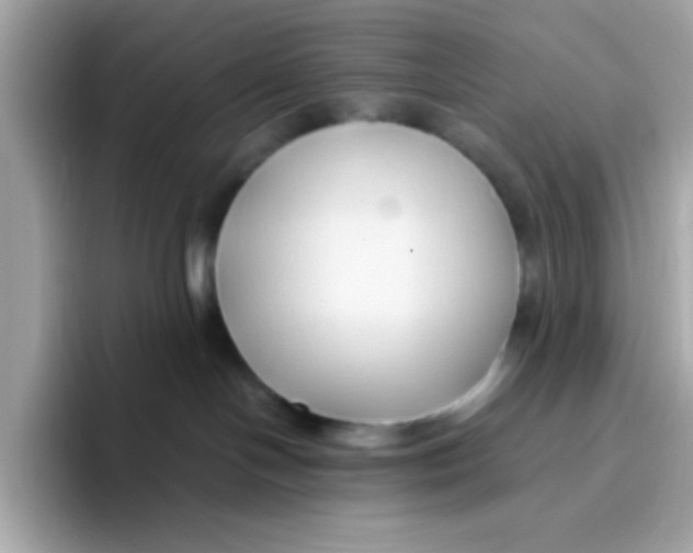 X0000096460094200802141541