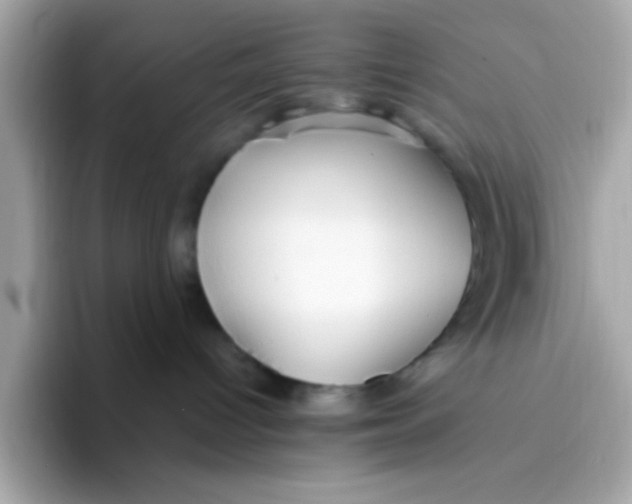X0000096460096200802141541