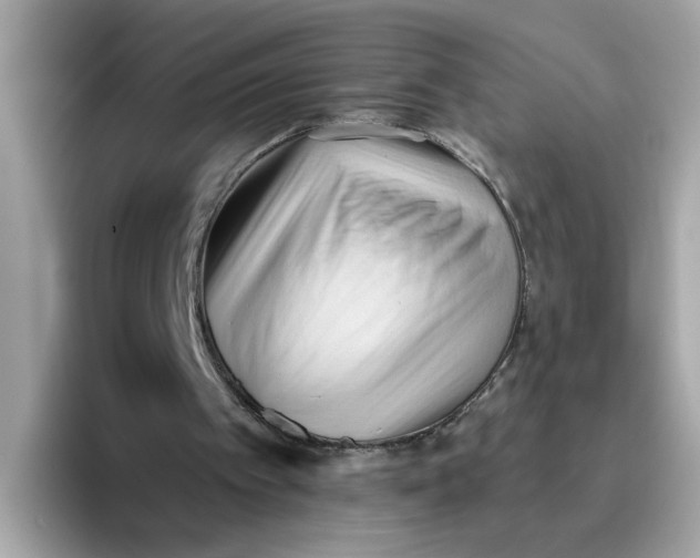 X0000096460097200802141540