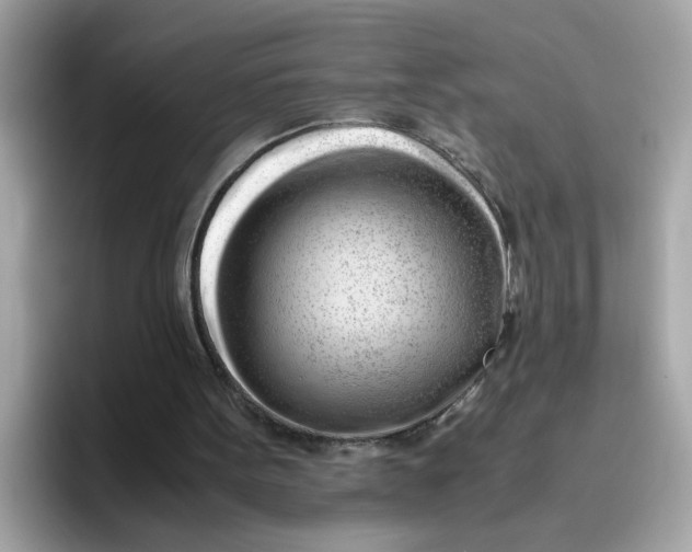 X0000096460099200802141540