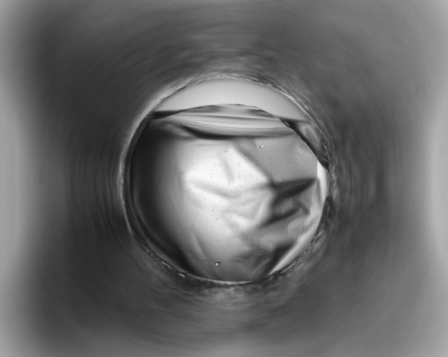 X0000096460100200802141540