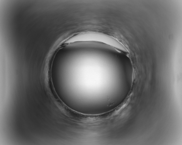 X0000096460101200802141540