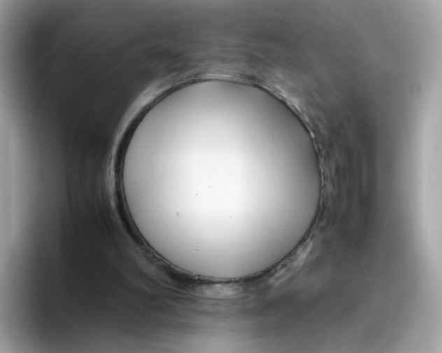 X0000096460102200802141540